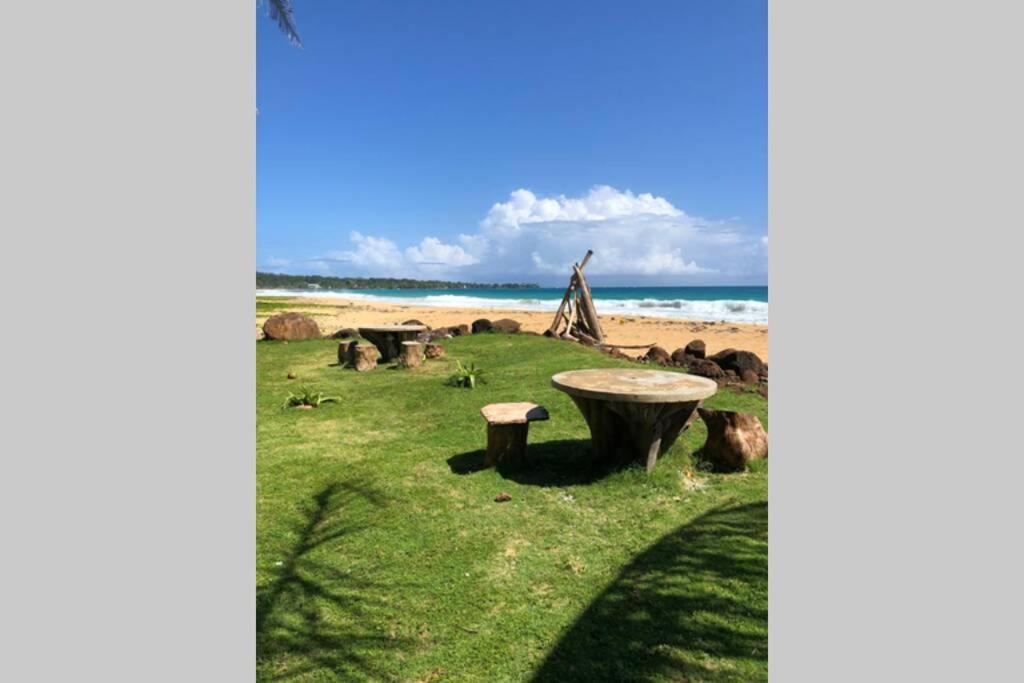Coconut Castle At La Lodge At Long Bay South End Extérieur photo