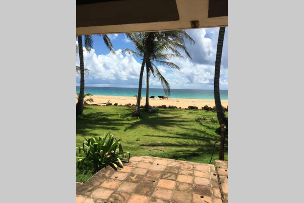 Coconut Castle At La Lodge At Long Bay South End Extérieur photo
