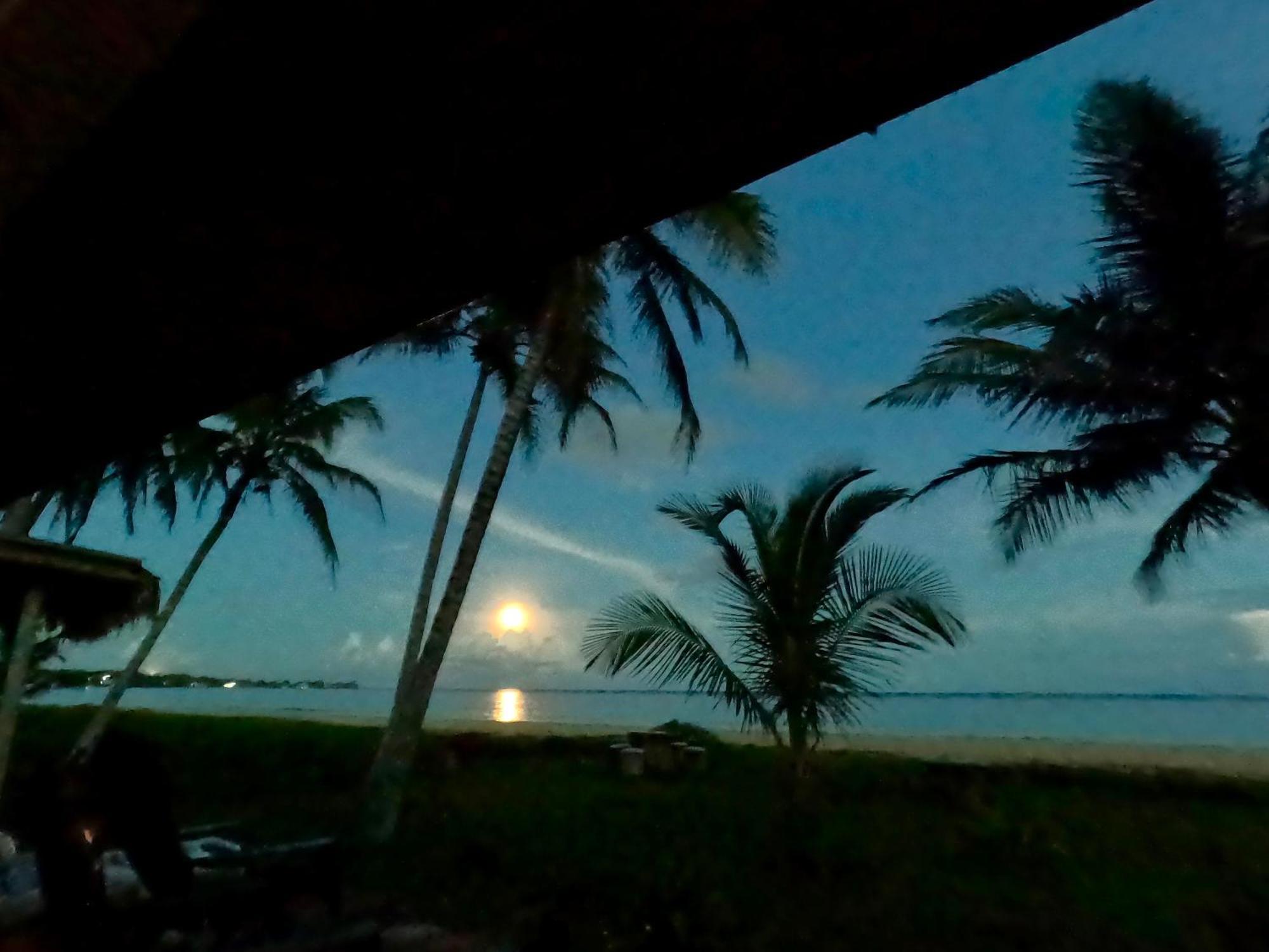 Coconut Castle At La Lodge At Long Bay South End Extérieur photo